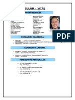 Curriculum Vitae 3