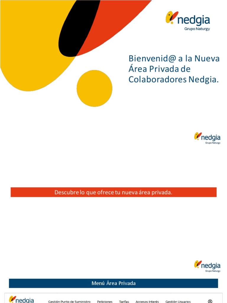 Manual Nueva Area Privada Eeii | PDF | Comercio electrónico | Contraseña