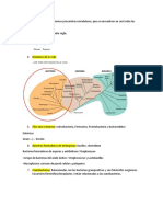 Repaso Micro