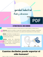 Seguridad Industrial - Ruido y Vibraciones