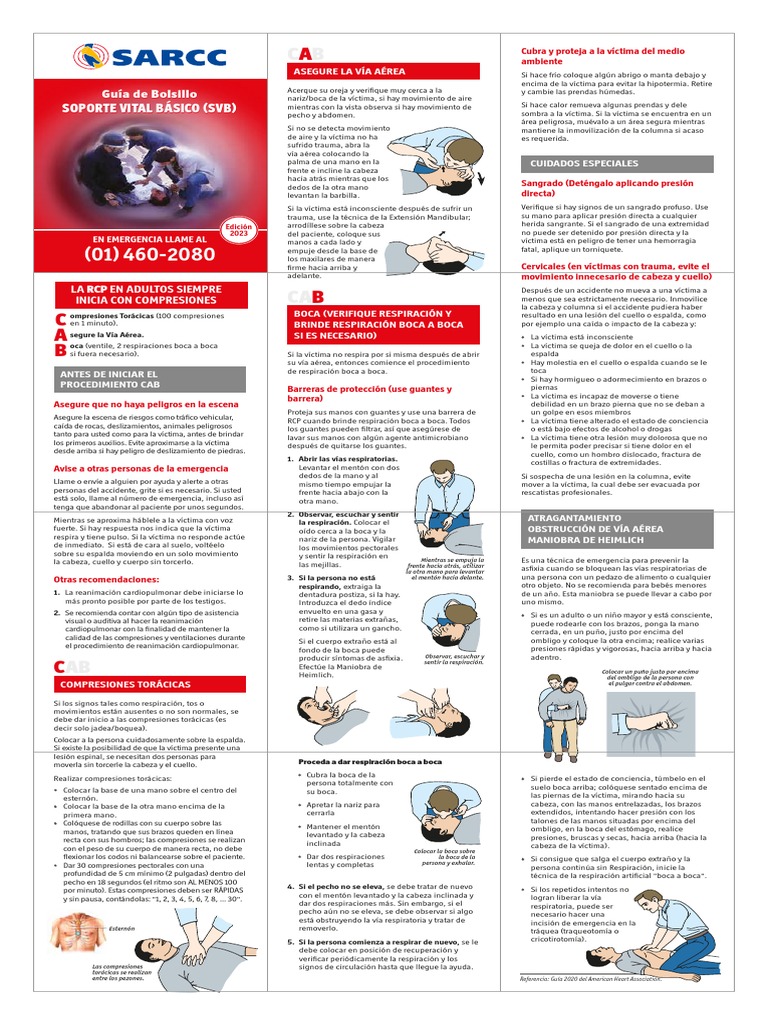Guia de Bolsillo SVB - Edición 2023 | PDF | Reanimación cardiopulmonar ...