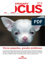 Veterinary Focus - 2017 - Perros Pequeños, Grandes Problemas