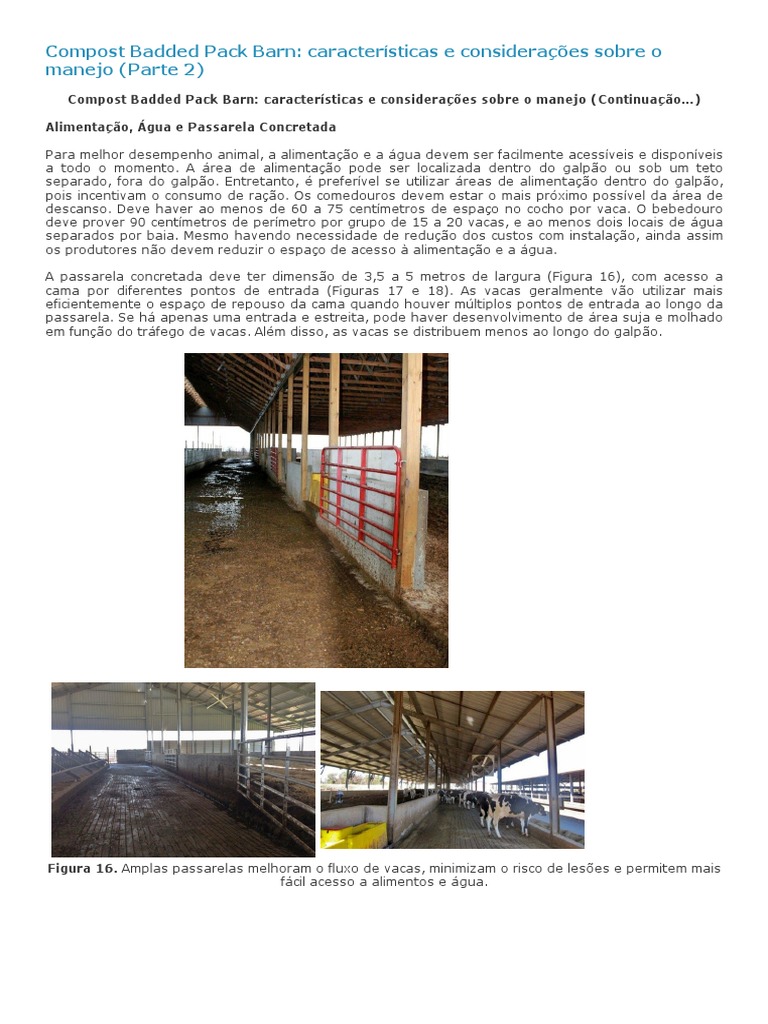 Compost Badded Pack Barn - Características e Considerações Sobre o ...