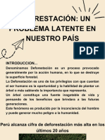 La Deforestacion en El Perú