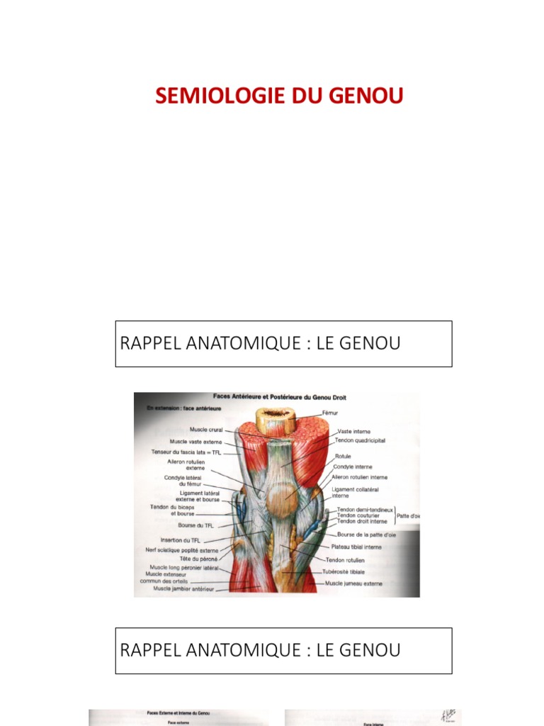 Sémiologie des pathologies du genou | PDF | Genou | Maladies et troubles
