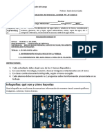 6to Ciencias Pauta Infografía