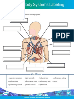 Human Body Systems Labeling Activity Digital