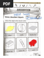 Paper Towel Absorbency Experiment | PDF