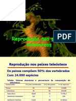 Peixes Dificil, PDF, Caça