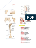 Assessing Musculo-Skeletal System