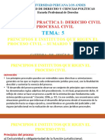Tema 5, Principios e Institutos Que Rigen El Proceso Civil en Lo Relativo Al Proceso Sumario y Ejecutivo