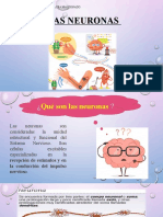 Segundo Medio - Neurona - Cata Cea