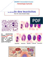 Aula 5 - Estudos Dos Leucócitos