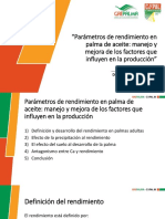 M1 MACPA3 Parametros de Rendimiento en Palma de Aceite Bernd Ditschar