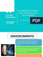 Enfermedades Clinicas Mas Frecuentes Am 2002