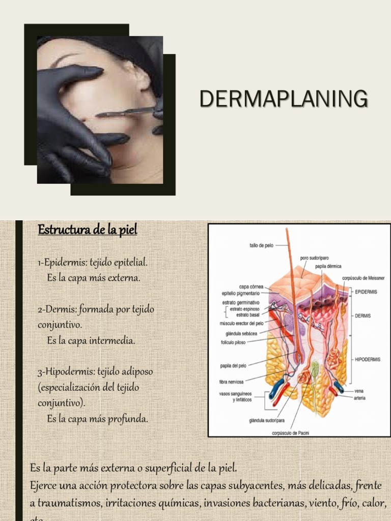 Guía Completa sobre Dermaplaning y Piel | PDF