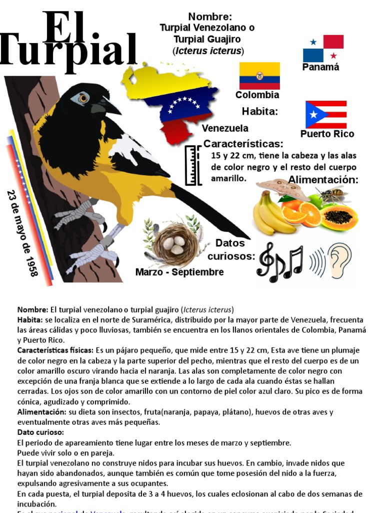 Características del Turpial Venezolano | PDF | Ornitología | Aves holarctic