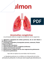 Anatomia Patologica 8