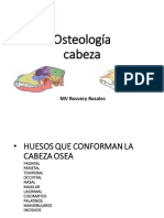 Cabeza Osea Anatomia