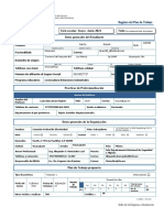 1 - Registro-del-Plan-de-Trabajo-LRI A.L.G