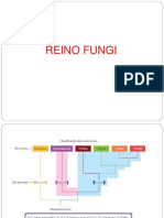 10112022091455Aula Reino Fungi