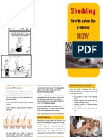 Shedding Flyer PDF