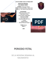 Periodo Fetal Grupal