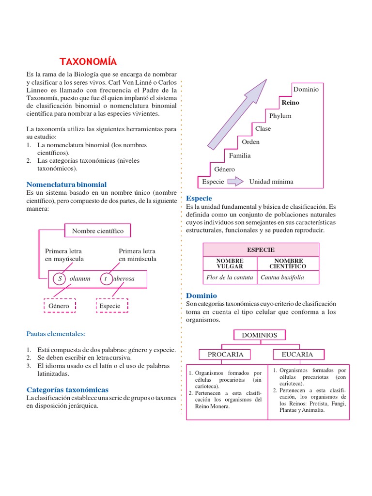 Taxonomia | PDF | Taxonomía (biología) | Plantas