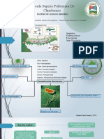 Microbiologia Bacterias