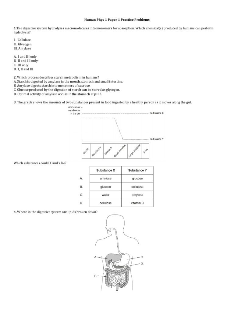 hp-1-practice-problems-pdf-heart-artery