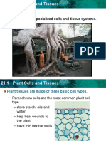 Plant Cells and Tissues