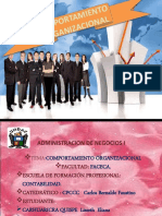 Comportamiento Organizacional