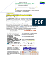 Guia 2 Biologia Grado 6 Ciclo 3 Dora22