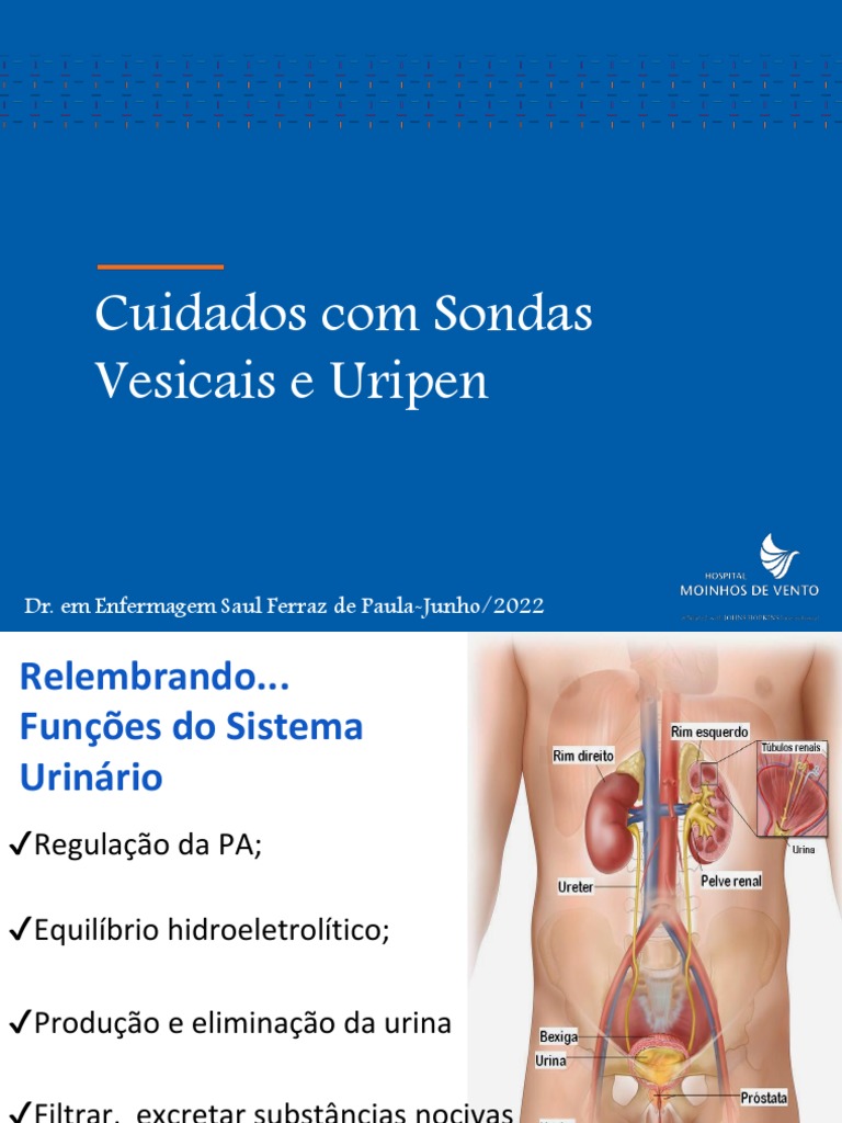 Cuidados com Sondas Urinárias e Diurese | PDF