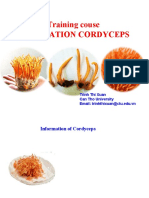 Cultivation Cordyceps