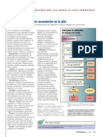 Identificar Las Lesiones Secundarias en La Piel