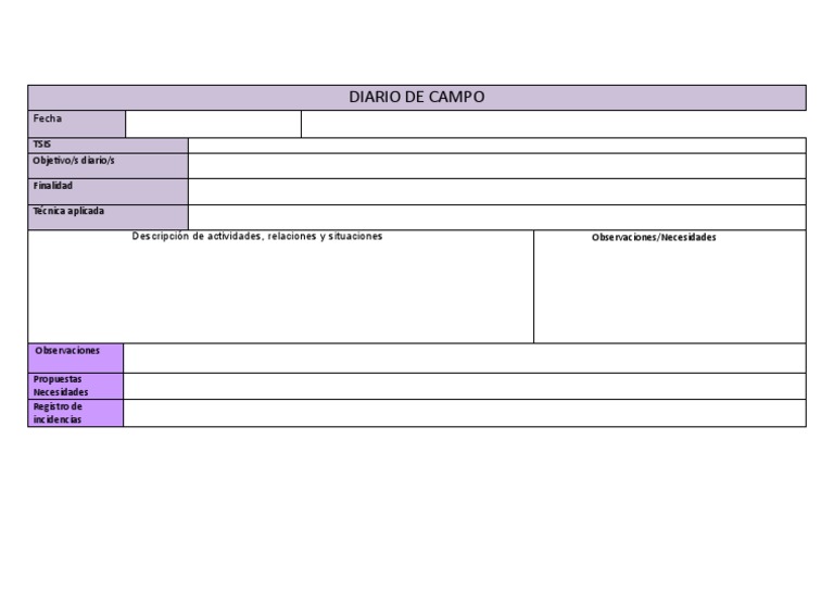 Diario de Campo Plantilla | PDF