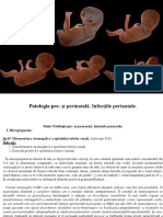 Patologia Pre - Și Perinatală. Infecțiile Perinatale.