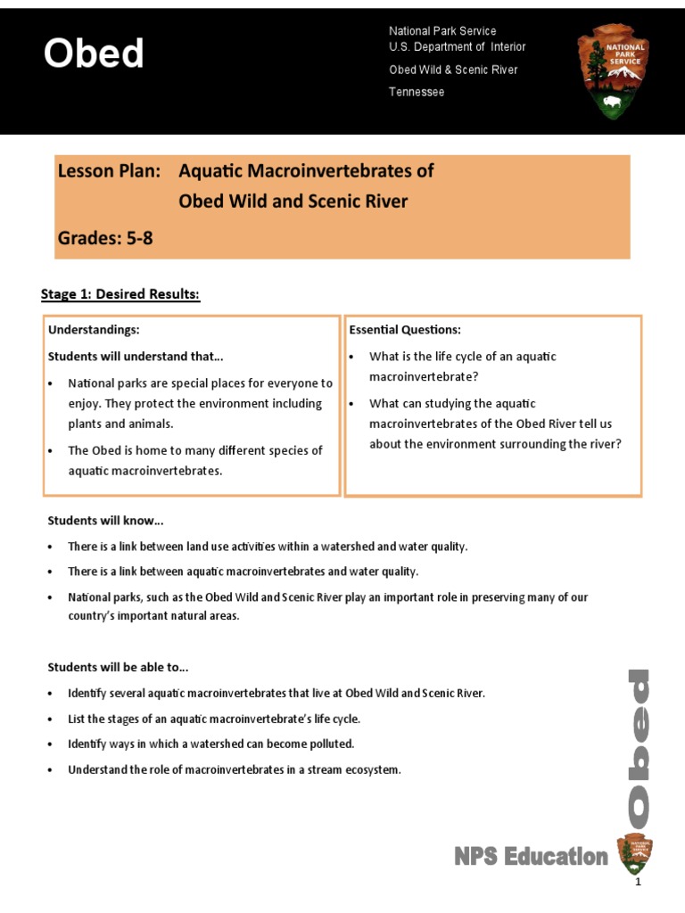 OBED Lesson Plan - Aquatic Macroinvertebrates | PDF | Insects | Water