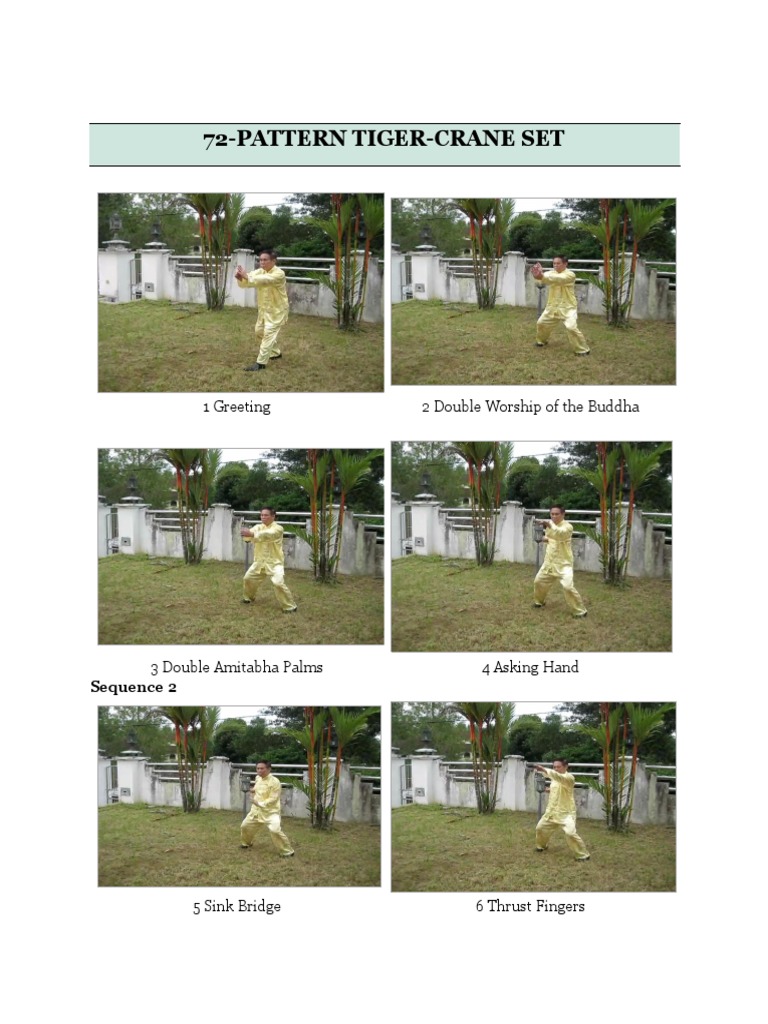 72 Pattern Tiger Crane Set | PDF