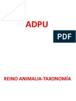 Reino Animalia - Taxonomia