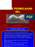 Siklus Pembelahan PDF