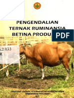 Pengendalian Ternak Ruminansia Betina Produktif Rivan