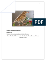 Función de Las Aves en La Diseminación de Las Plantas.