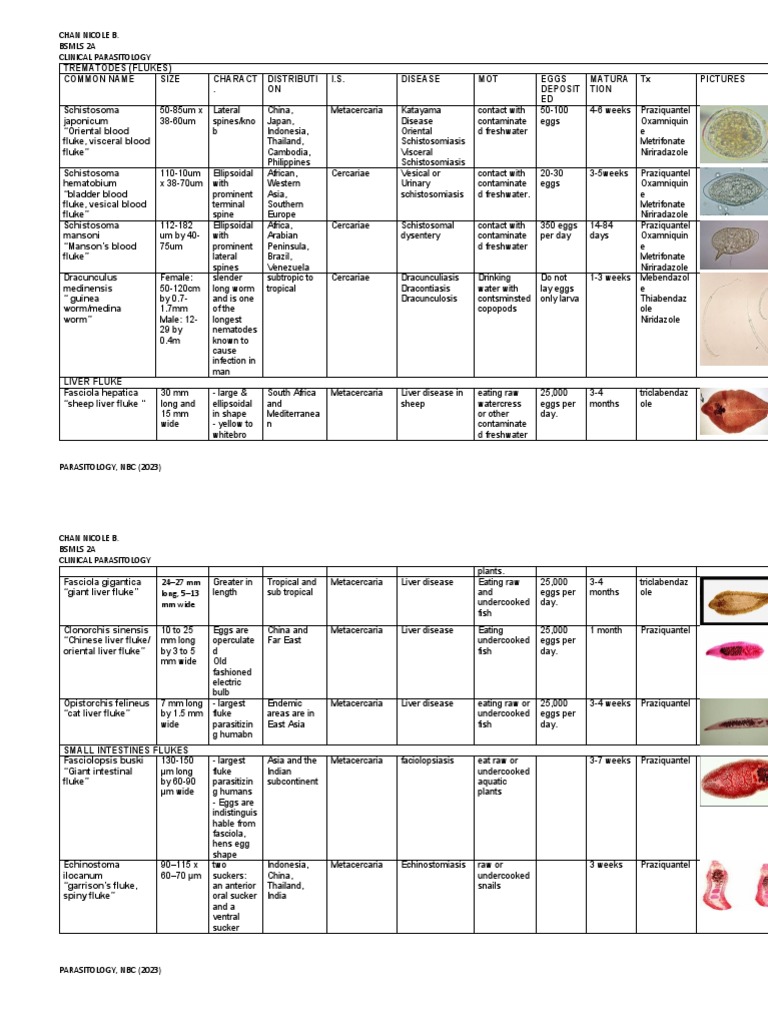 World of Parasitology | PDF | Animals And Humans | Animal Diseases