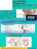 Carotida Interna Final