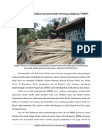 Pemprov Kalsel Optimalkan Tanaman Bambu Dukung Peningkatan UMKM