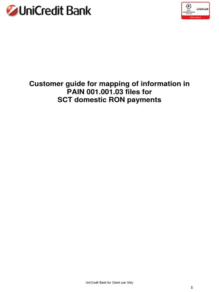 SEPA XML Mapping Guide for RON Payments | PDF | Computing