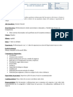 Perfil y Descriptor de Puesto de Jefe de Cuadrilla Wireless