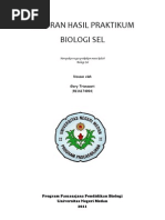 Download LAPORAN HASIL PRAKTIKUM BIOLOGI SEL GLORY SARAGIH by Cuteybio Saragih SN65298478 doc pdf